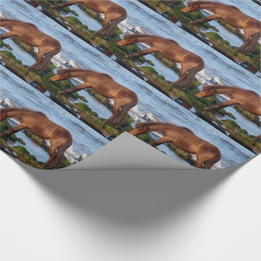 Zuid-Devon Dartmoor Pony, zeewier op strand Cadeaupapier (Hoek)