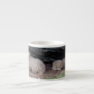 Zuid-Devon Long Wool Sheep Family Sheltering Espresso Kop