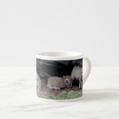 Zuid-Devon Long Wool Sheep Family Sheltering Espresso Kop (Voorkant rechts)