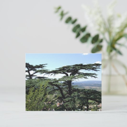 Zuid-Frankrijk Briefkaart (Staand voorkant)