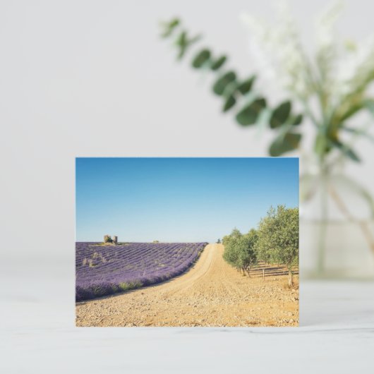 Zuid-Frankrijk Briefkaart (Staand voorkant)