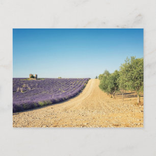 Zuid-Frankrijk Briefkaart