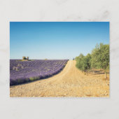 Zuid-Frankrijk Briefkaart (Voorkant)