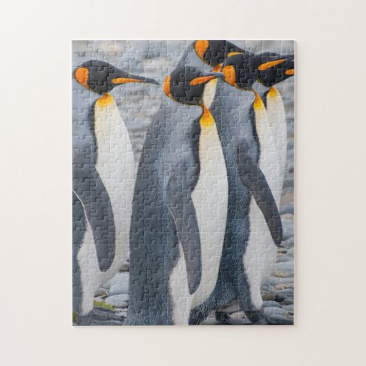Zuid-Georgia. Koningspinguïns Legpuzzel (Verticaal)