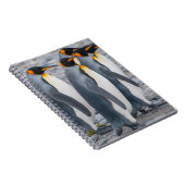 Zuid-Georgia. Koningspinguïns Notitieboek (Rechterzijde)