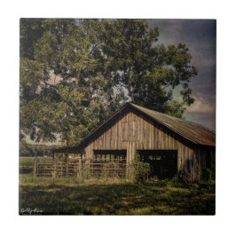  Zuid-Georgië Schuur keramische tegel Tegeltje