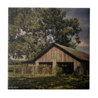  Zuid-Georgië Schuur keramische tegel Tegeltje