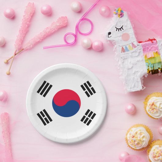 Zuid-Korea Papieren Bordje (Feest)