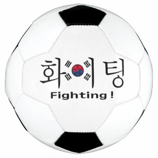 Zuid-Korea vechtend hangul en vlag supporter Voetbal