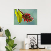 Zuid-Magnolia Red Seeds in Pod II Poster (Thuiskantoor)