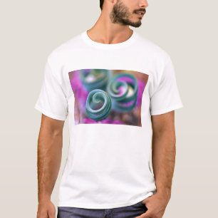 Zuid-Namaqualand, gekrulde leliebladeren. Credit T-shirt