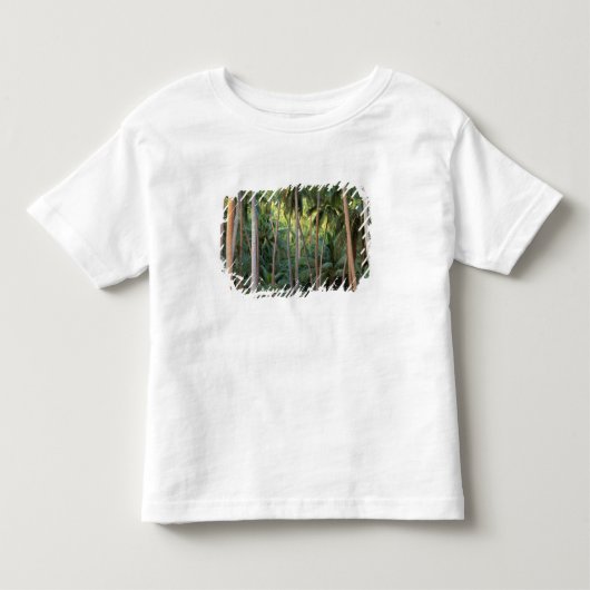 Zuid-Pacific, Frans-Polynesië, Bora Bora. Kinder Shirts (Voorkant)