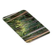 Zuid-Pacific, Frans-Polynesië, Bora Bora. Magneet (Rechterzijde)