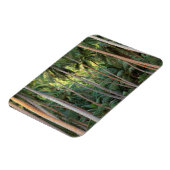 Zuid-Pacific, Frans-Polynesië, Bora Bora. Magneet (Linkerzijde)