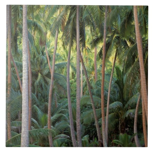 Zuid-Pacific, Frans-Polynesië, Bora Bora. Tegeltje (Voorkant)
