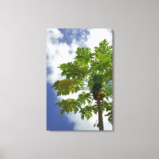 Zuid Pacific, Frans-Polynesië, Moorea. 2 Canvas Afdruk (Voorkant)