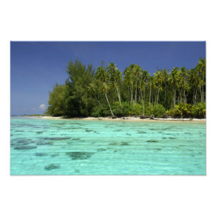 Zuid-Pacific, Frans-Polynesië, Moorea 2 Foto Afdruk