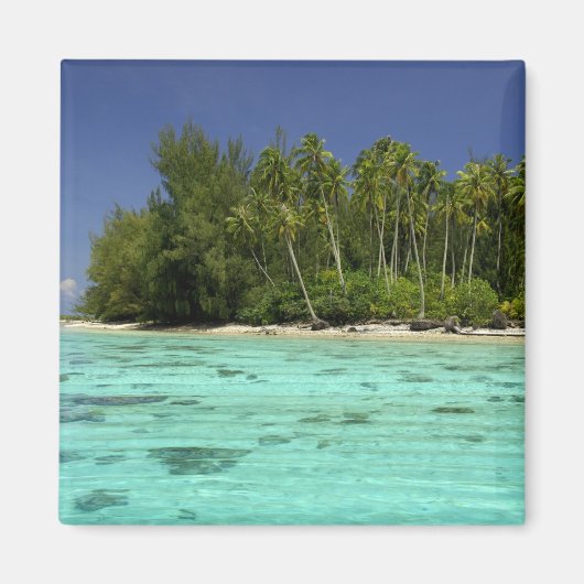 Zuid Pacific, Frans-Polynesië, Moorea 2 Magneet (Voorkant)