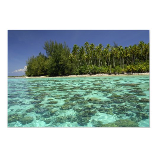 Zuid-Pacific, Frans-Polynesië, Moorea 3 Foto Afdruk (Voorkant)