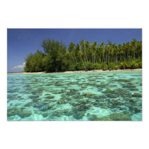 Zuid Pacific, Frans-Polynesië, Moorea 3 Foto Afdruk