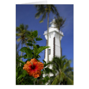 Zuid-Pacific, Frans-Polynesië, Tahiti. Hibiscus