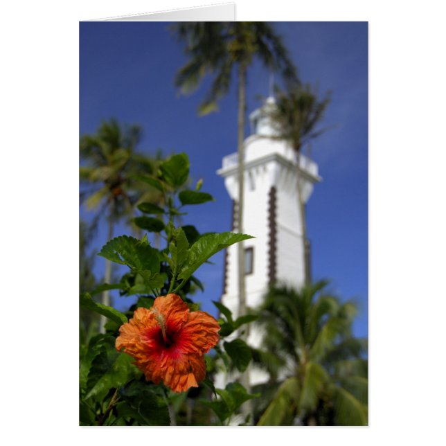 Zuid-Pacific, Frans-Polynesië, Tahiti. Hibiscus (Voorkant)
