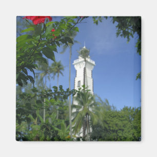 Zuid-Pacific, Frans-Polynesië, Tahiti. Hibiscus 2 Magneet
