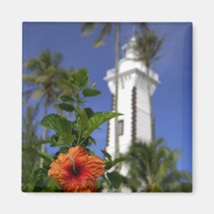 Zuid Pacific, Frans-Polynesië, Tahiti. Hibiscus Magneet
