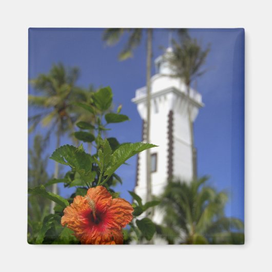 Zuid Pacific, Frans-Polynesië, Tahiti. Hibiscus Magneet (Voorkant)