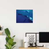 Zuid-Pacific, Tonga. Bultrugwalvis en kalf Poster (Thuiskantoor)