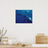 Zuid-Pacific, Tonga. Bultrugwalvis en kalf Poster (Keuken)