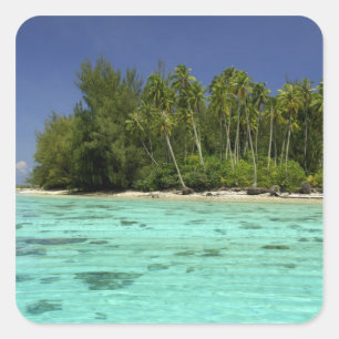 Zuid-Pacifische Oceaan, Frans-Polynesië, Moorea 2 Vierkante Sticker