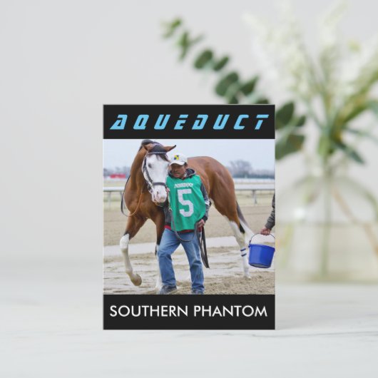 Zuid-Phantom Briefkaart (Staand voorkant)