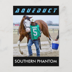 Zuid-Phantom Briefkaart