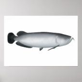 Zuid-Saratoga Poster (Voorkant)