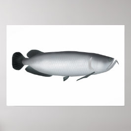 Zuid-Saratoga Poster