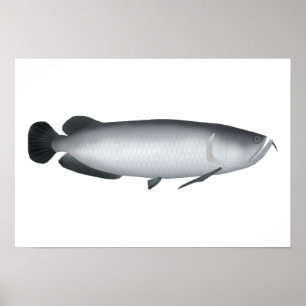 Zuid-Saratoga Poster