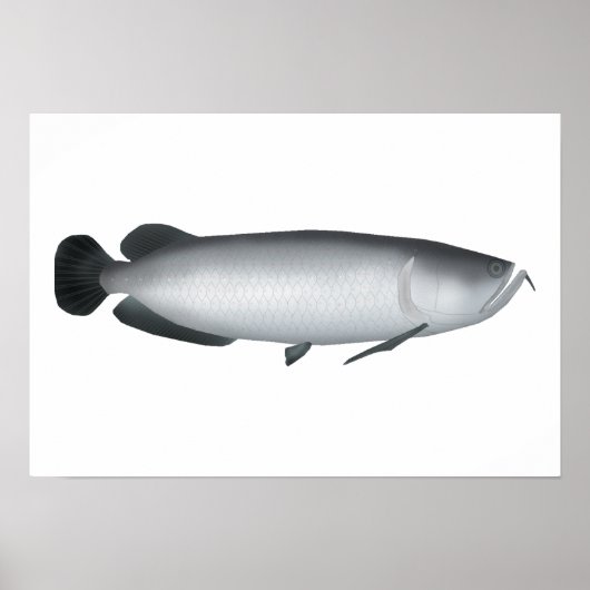 Zuid-Saratoga Poster (Voorkant)