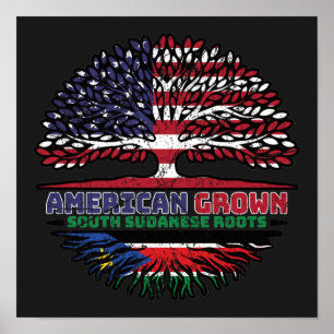 Zuid-Soedan Zuid-Soedanese Amerikaans-Amerikaanse Poster