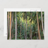 Zuid-Stille Oceaan, Frans-Polynesië, Bora Bora. Briefkaart (Voorkant / Achterkant)