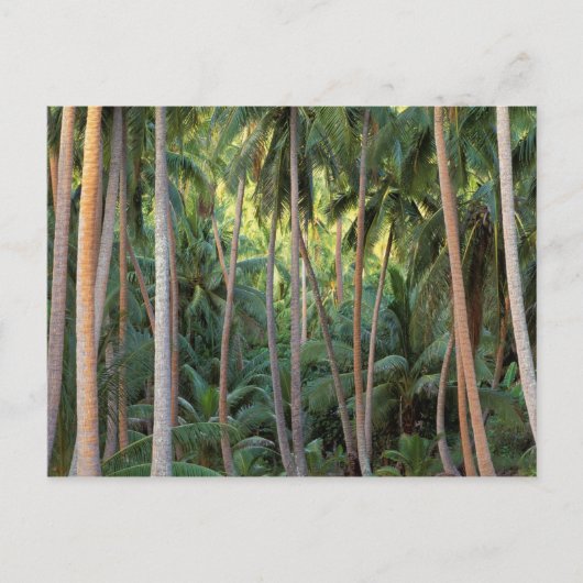 Zuid-Stille Oceaan, Frans-Polynesië, Bora Bora. Briefkaart (Voorkant)