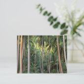 Zuid-Stille Oceaan, Frans-Polynesië, Bora Bora. Briefkaart (Staand voorkant)