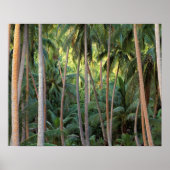 Zuid-Stille Oceaan, Frans-Polynesië, Bora Bora. Poster (Voorkant)