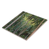 Zuid-Stille Oceaan, Frans-Polynesië, Bora Bora. Tegeltje (Zijkant)