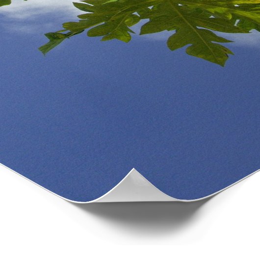 Zuid-Stille Oceaan, Frans-Polynesië, Moorea. 2 Poster (Hoek)