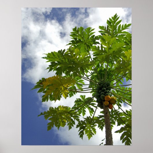 Zuid-Stille Oceaan, Frans-Polynesië, Moorea. 2 Poster (Voorkant)