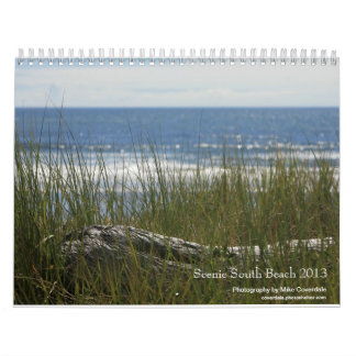 Zuid-strand Schilderachtig 2013 Kalender