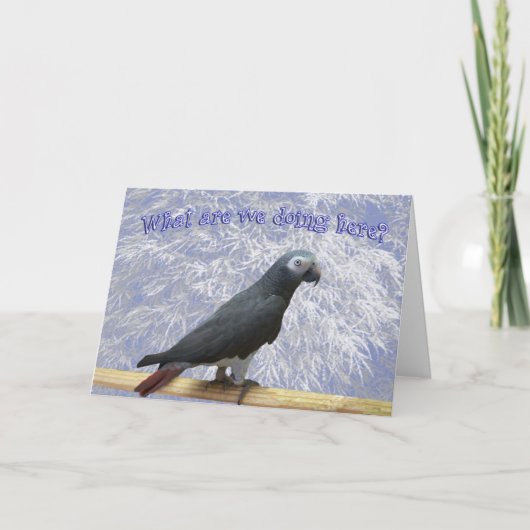 Zuid vliegen feestdagen kaart (Voorkant)