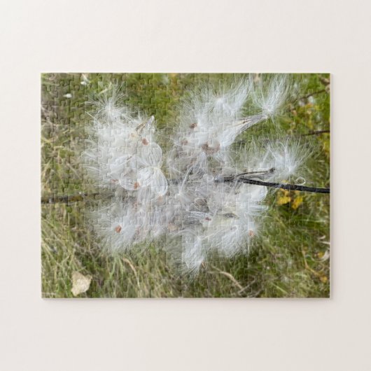 Zuidebloem | Vlinder | Legpuzzel (Horizontaal)