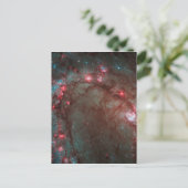 Zuidelijk Pinwheel Briefkaart (Staand voorkant)